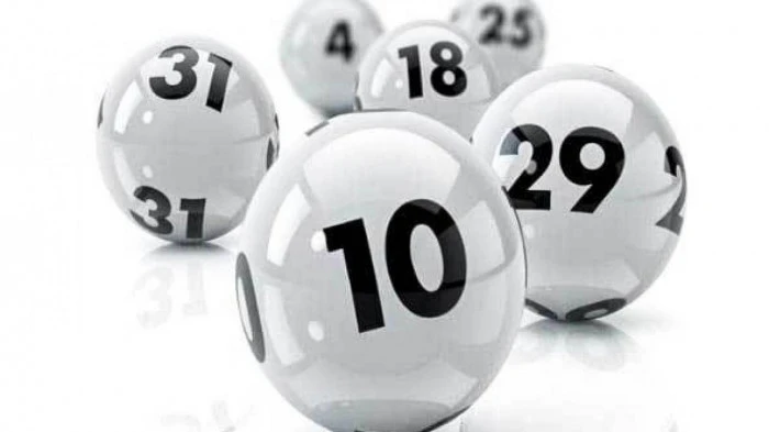 Gà Chọi C1: Hướng Dẫn Chi Tiết và Thông Tin Quan Trọng