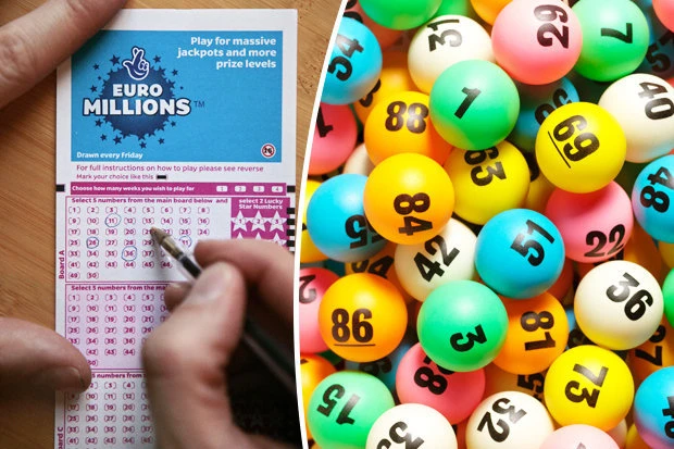 Trực Tiếp Đá Gà Thomo: Cập Nhật Những Trận Đấu Hấp Dẫn Nhất